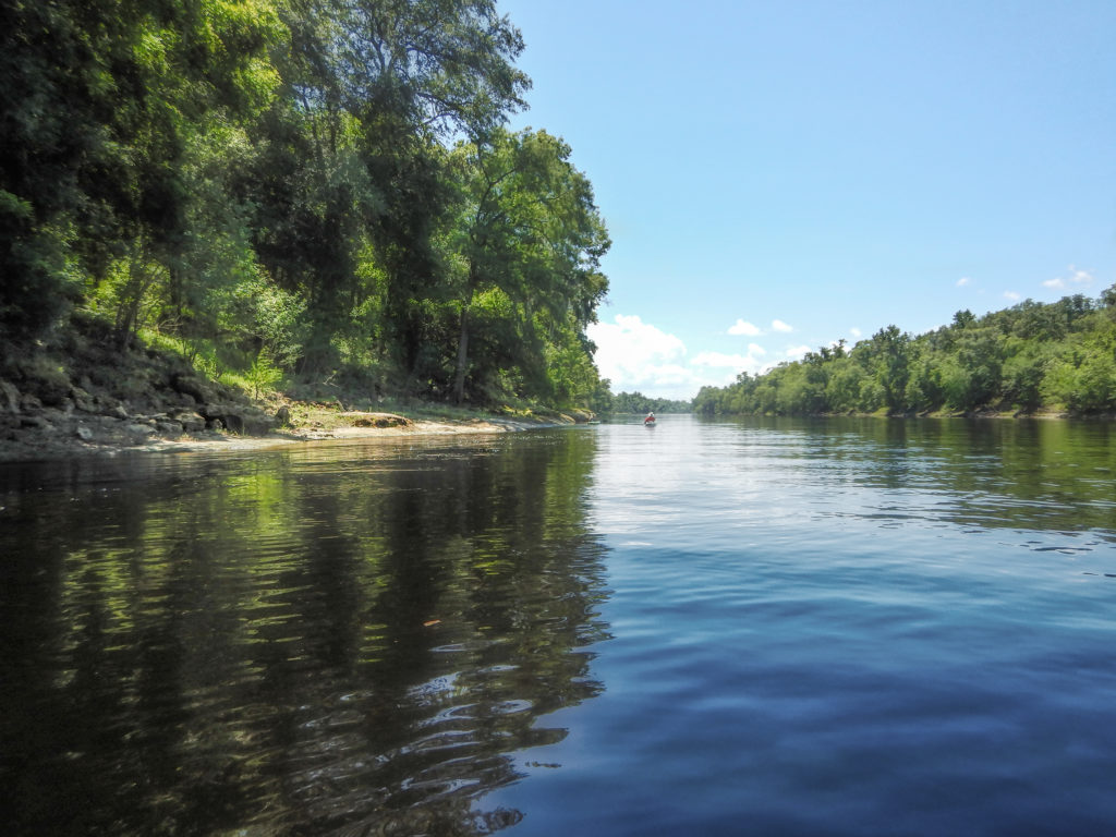 Paddling the Suwannee River