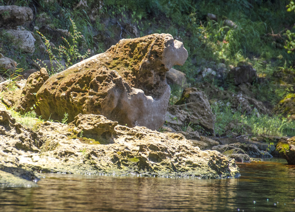 St. Bernard - Watchdog Rock