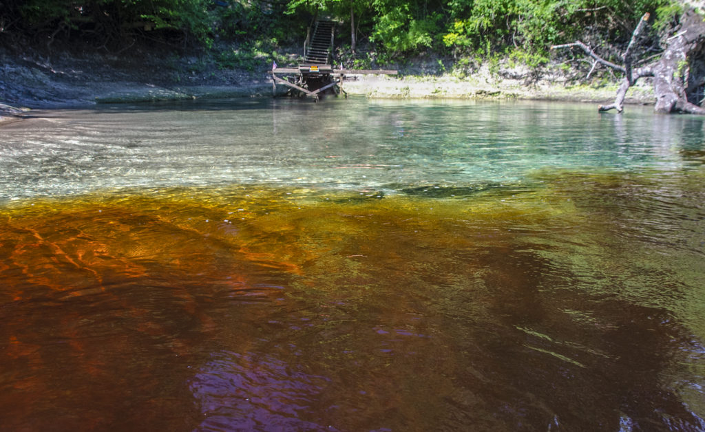 Suwannee Tannin at Mearson Spring