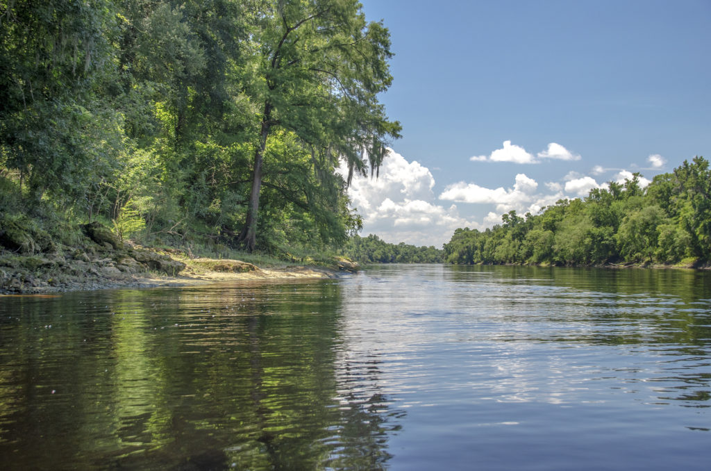 The Suwannee River