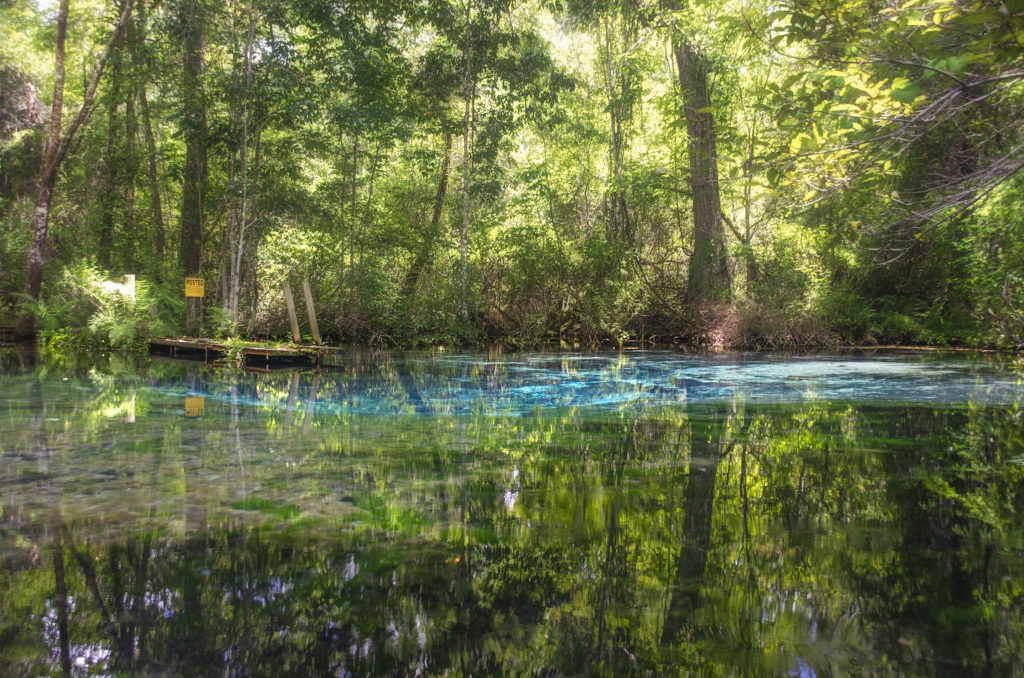 Approaching Alligator Spring