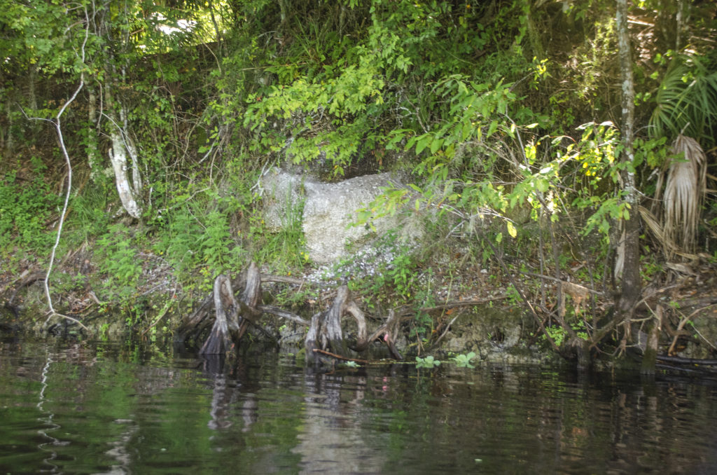 Indian Mound - Potts Preserve