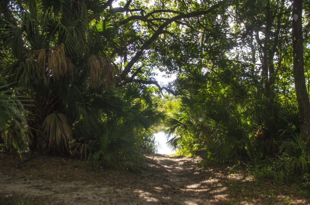 Path to the launch - River Bend Nature Park