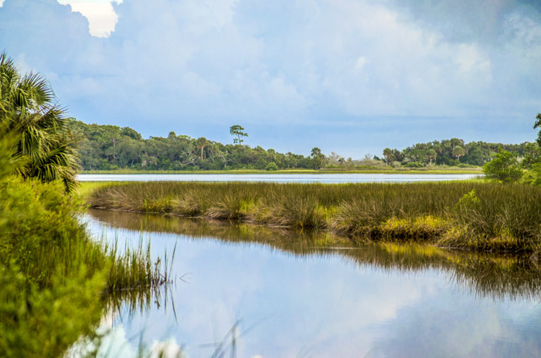 Welcome to Florida Paddle Notes - Pellicer Flats