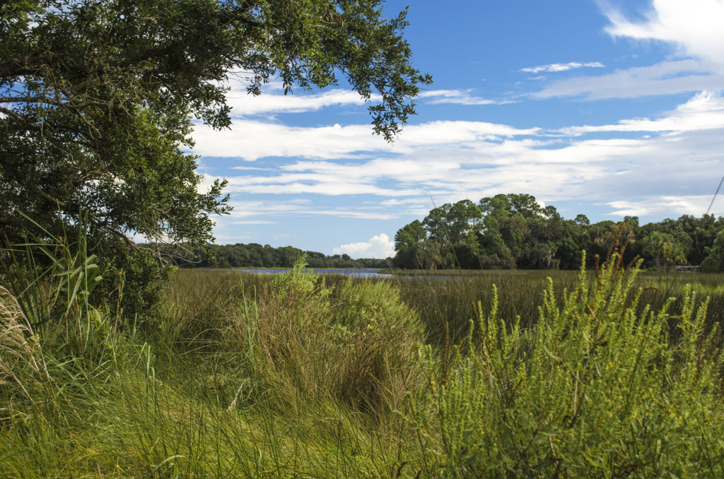 Pellicer Creek Outlook