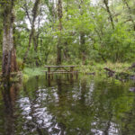 Picnic area - Gum Slough