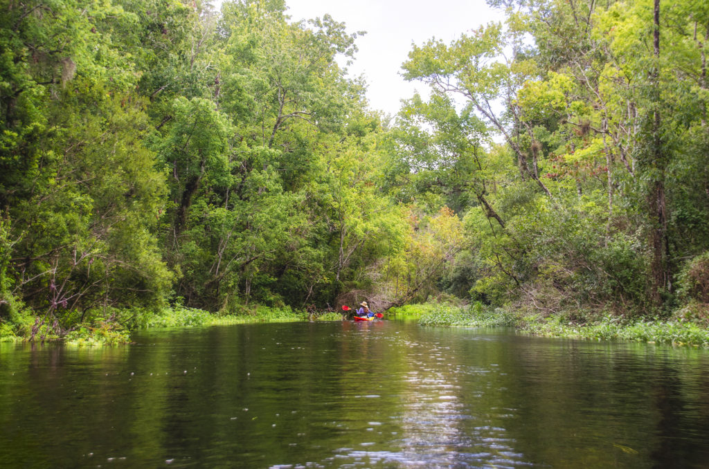 Solace on Gum Slough