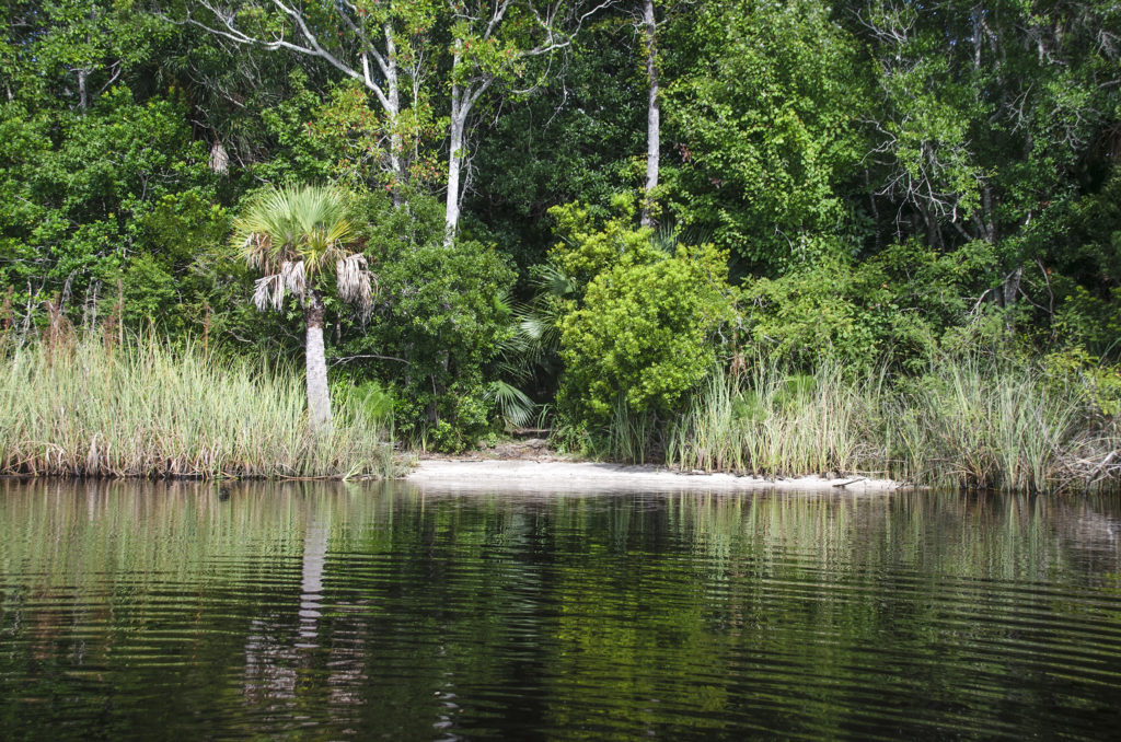 The Launch Beach - River Bend Nature Park