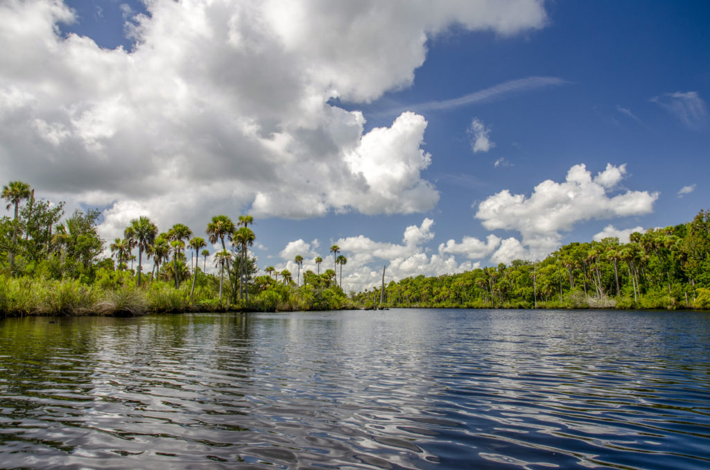 The Tomoka River Sky