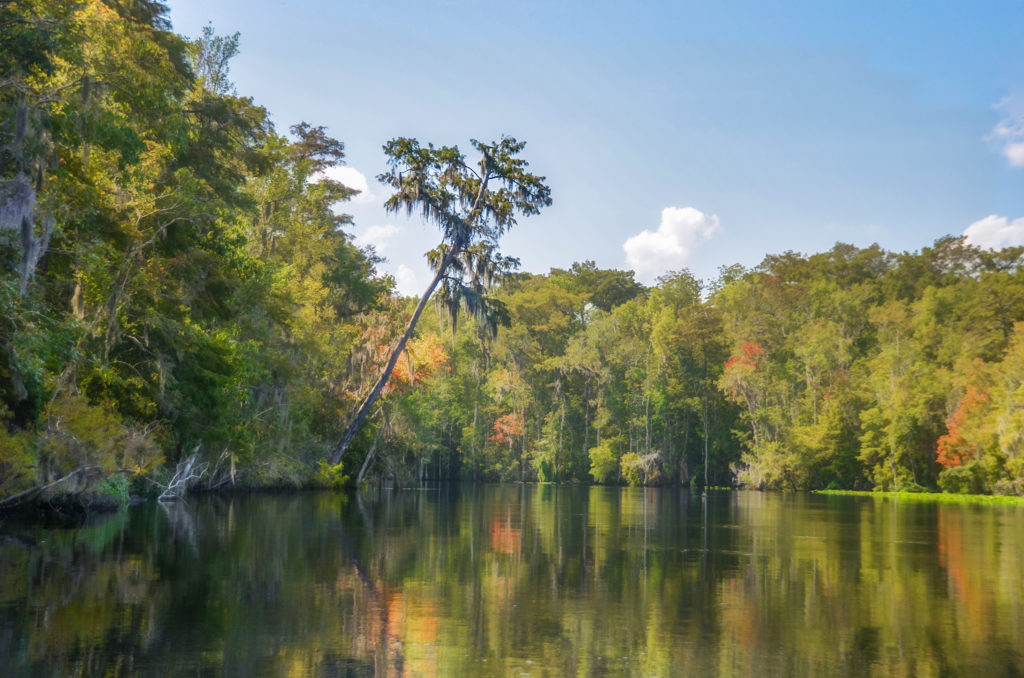 Bear Creek Ocklawaha River