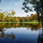 Bear Creek meets the Ocklawaha River