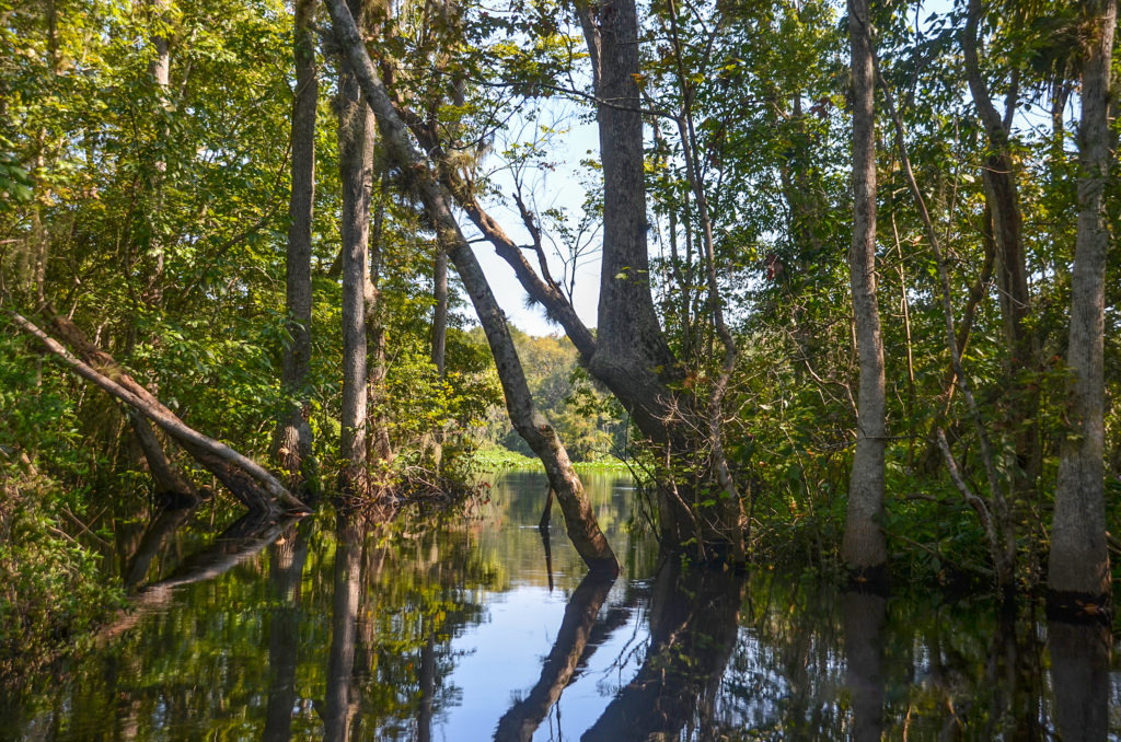 ByPass to the Ocklawaha