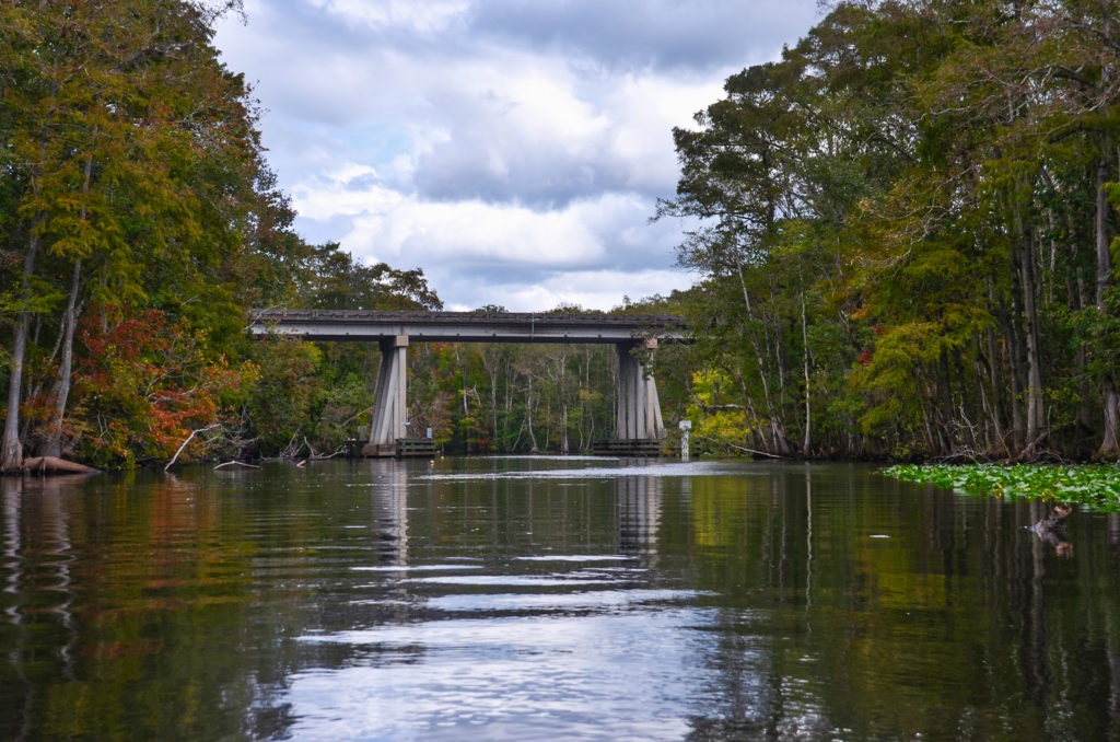 HWY 19 Bridge - Ocklawaha River