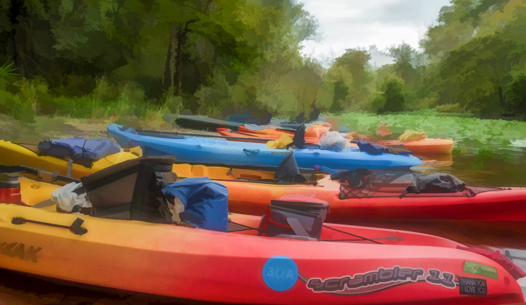 Kayaks at Davenport Landing - WC