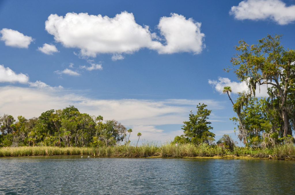 Kings Bay Island Landscape