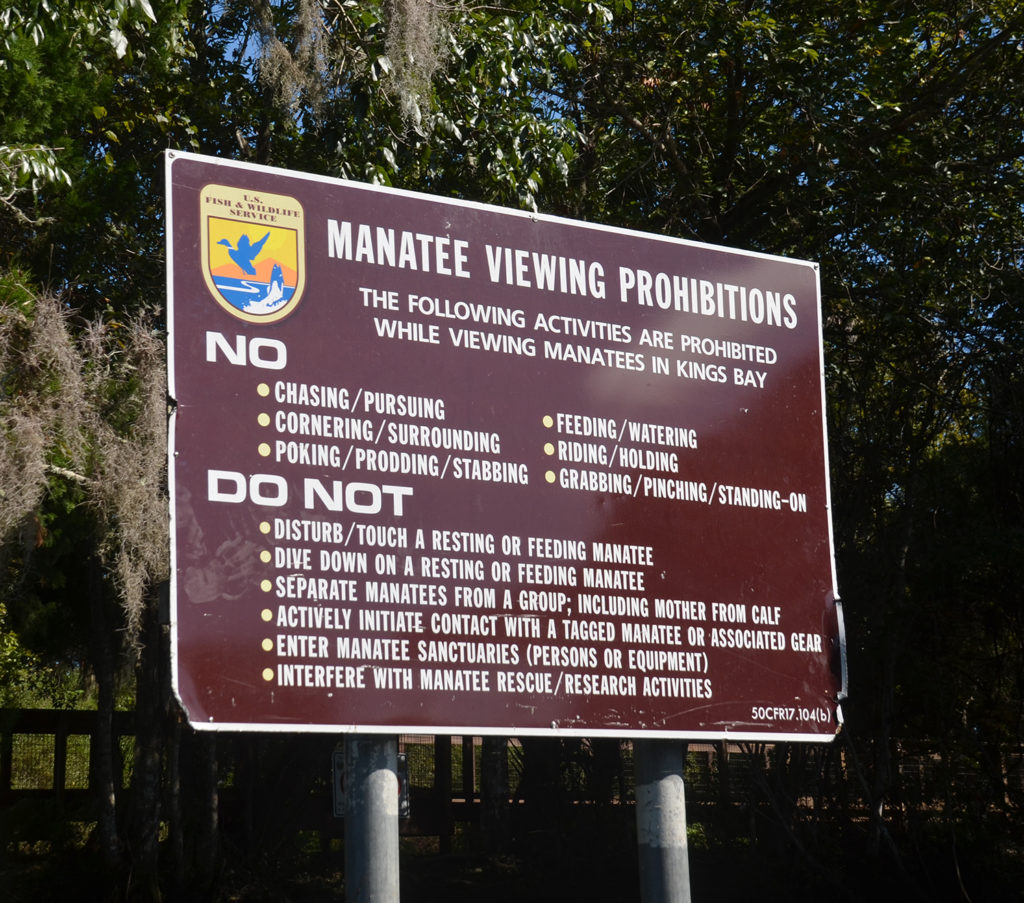 Manatee Viewing Prohibitions