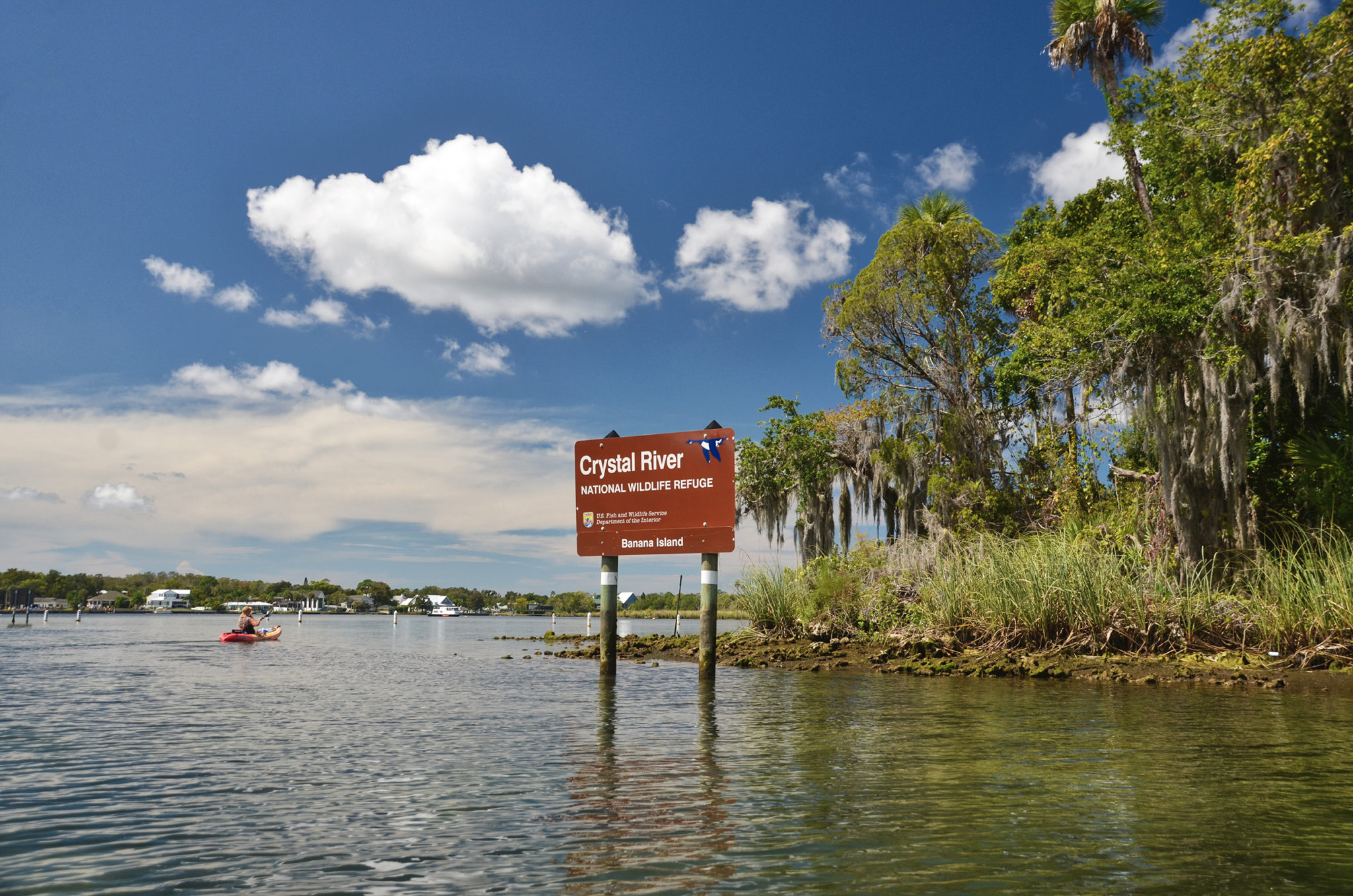 Recommended Experiences In and Around Crystal River