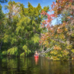 Paddling Bear Creek