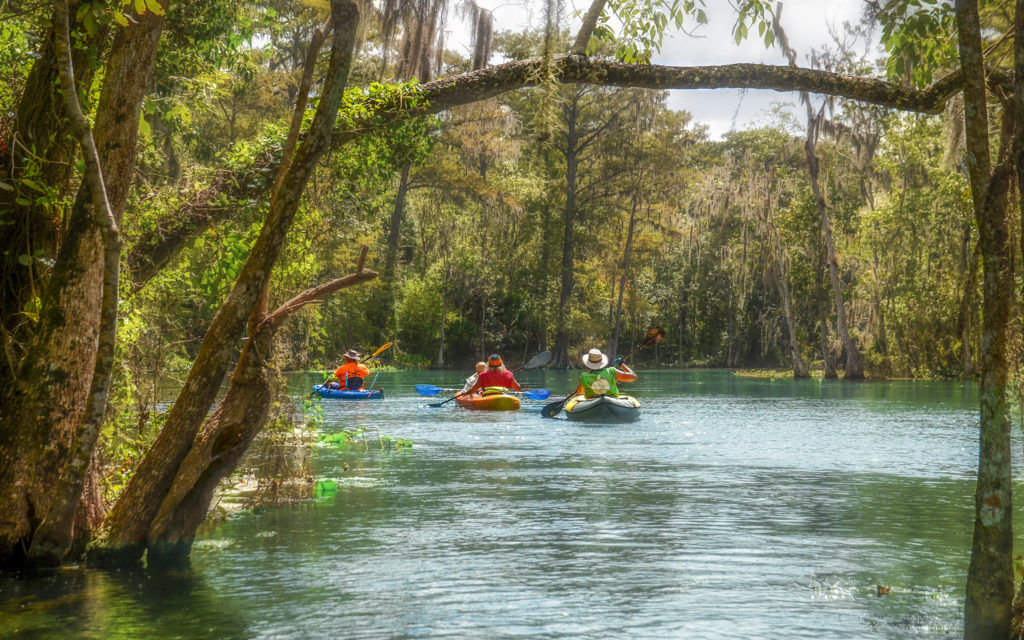 Paddling the Silver River