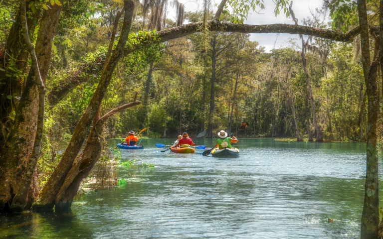 Paddling the Silver River | Florida Paddle Notes