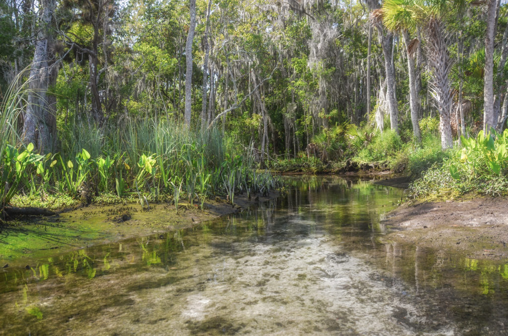 Parker Spring Run