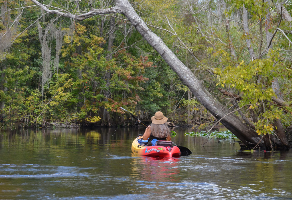 The Scenic Ocklawaha