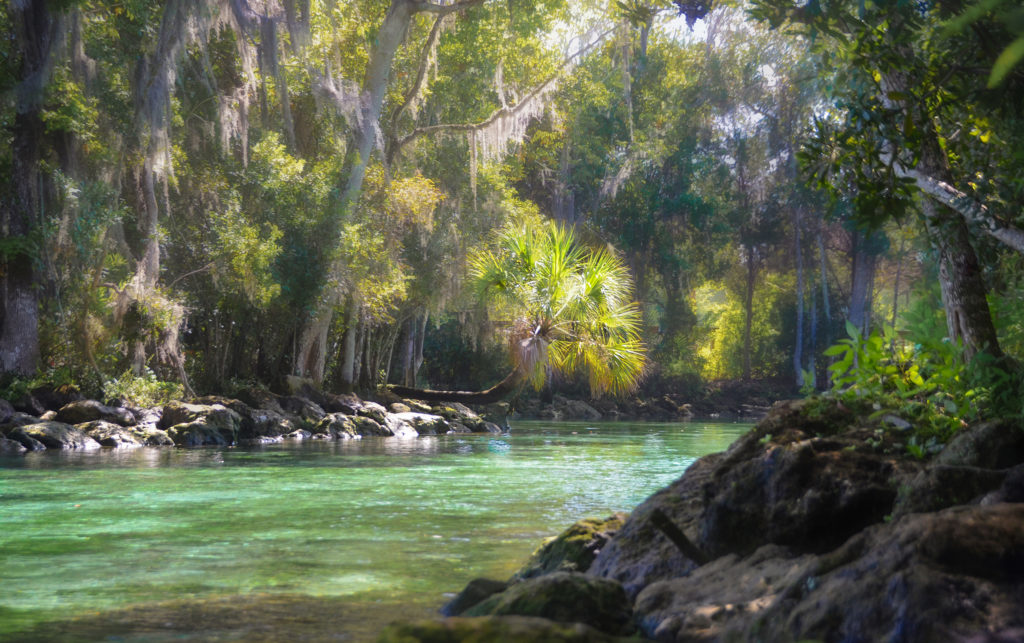 Three Sisters Springs Basin