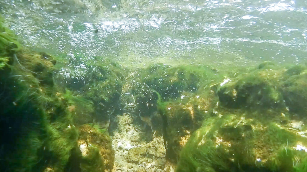 Below Boiling Spring