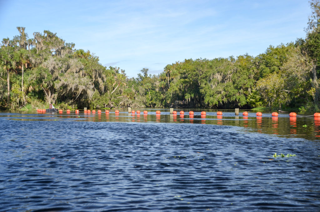 Blue Springs Run