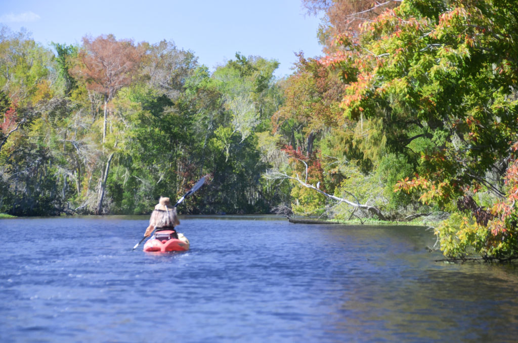 Fall on Haw Creek