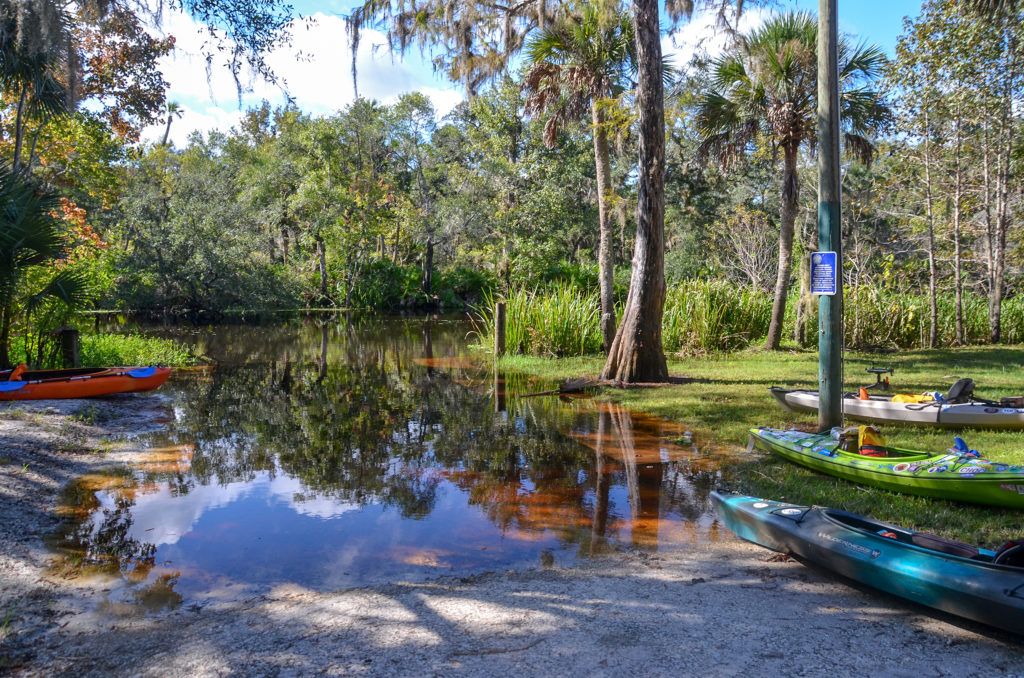 Welcome to Florida Paddle Notes - Haw Creek Paddle