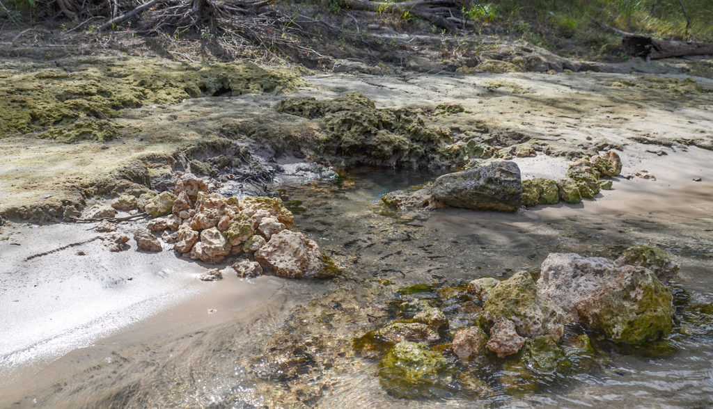 LAF1024001 Spring - Suwannee River