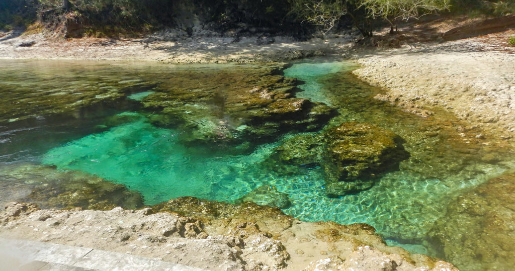 Little River Spring - Suwannee River