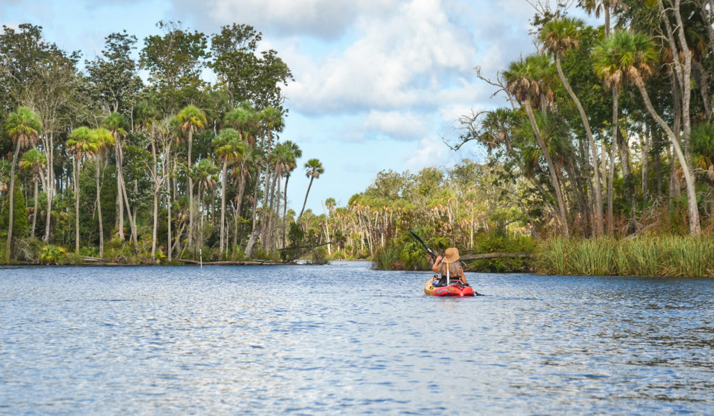 Paddling the Chassahowitzka River