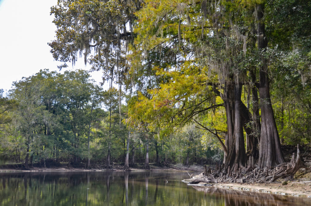 Santa Fe River