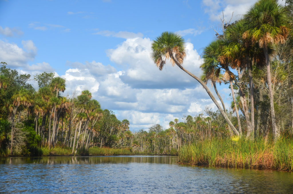 The Chassahowitzka River