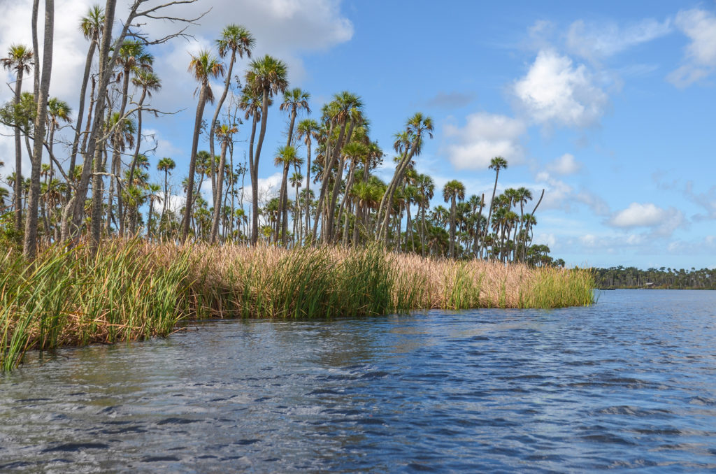 The 'Chaz' Shoreline