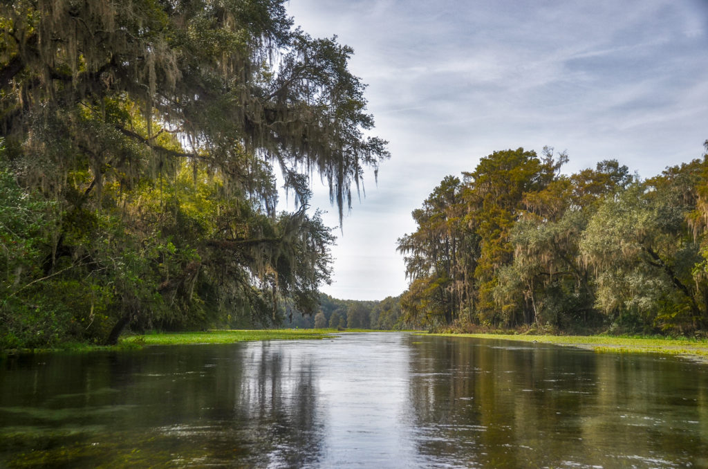 The Ichetucknee River