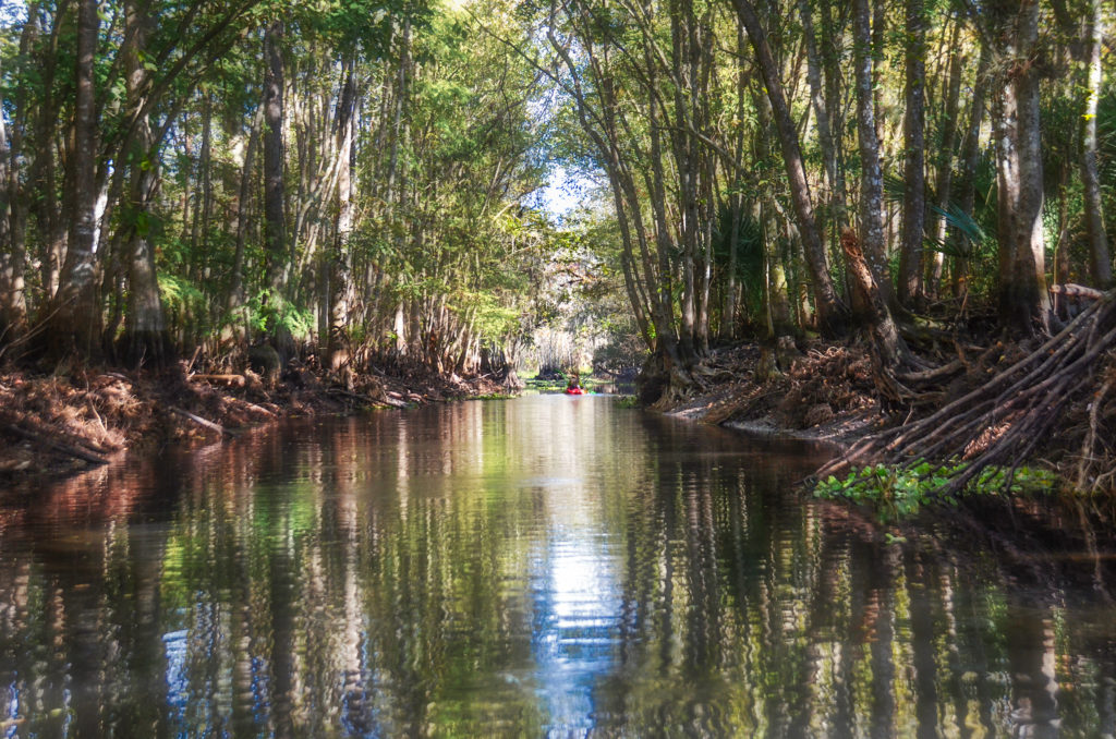 Canal to Cannon Spring