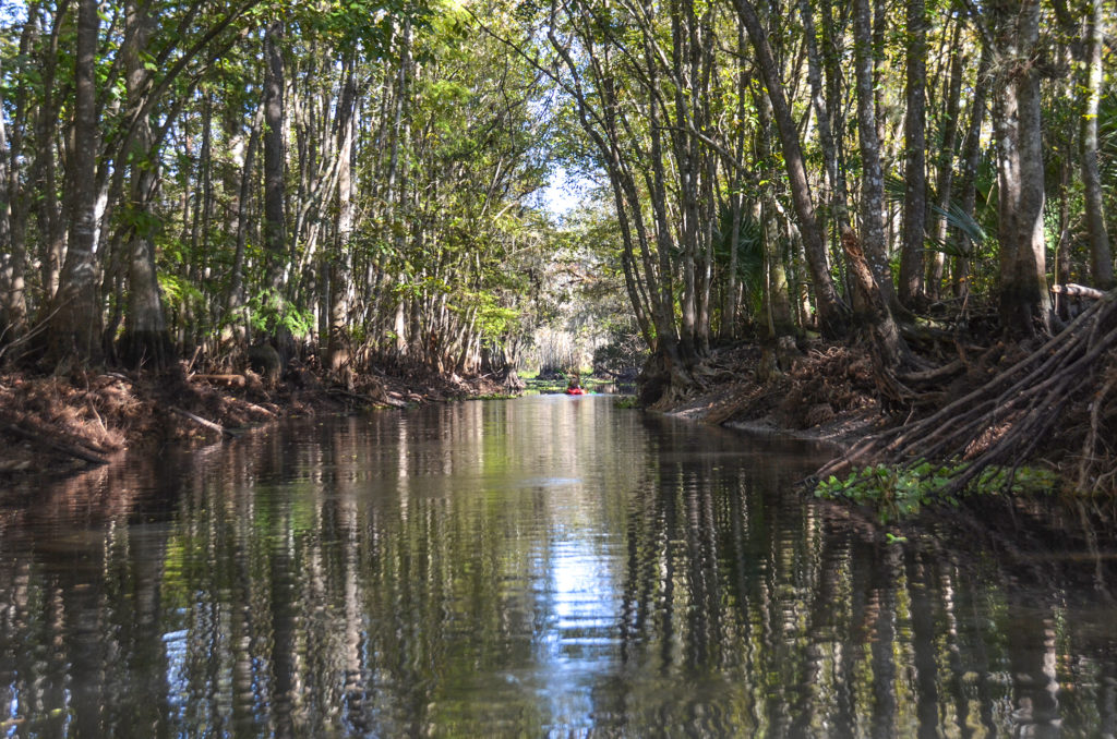 Cannon Spring Canal