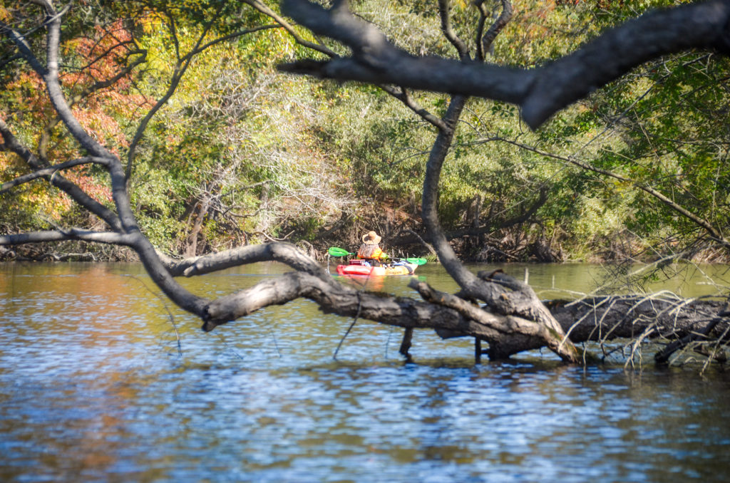 Donna - St Mary's River