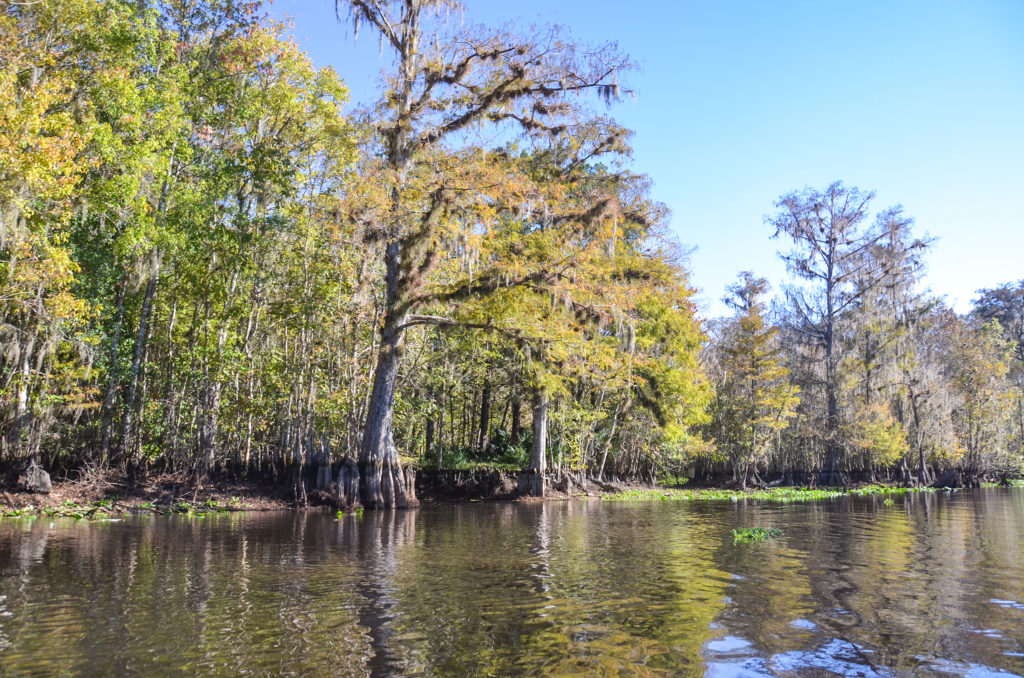 Entrance to Cannon Spring