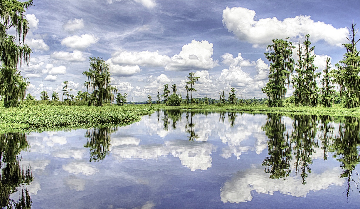 Ocklawaha River  Florida Paddle Notes