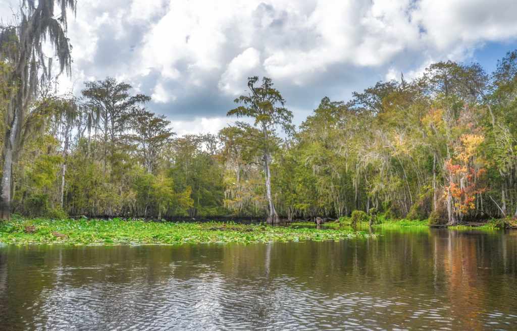 Ocklawaha River