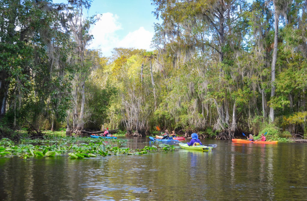 October on the Ocklawaha River