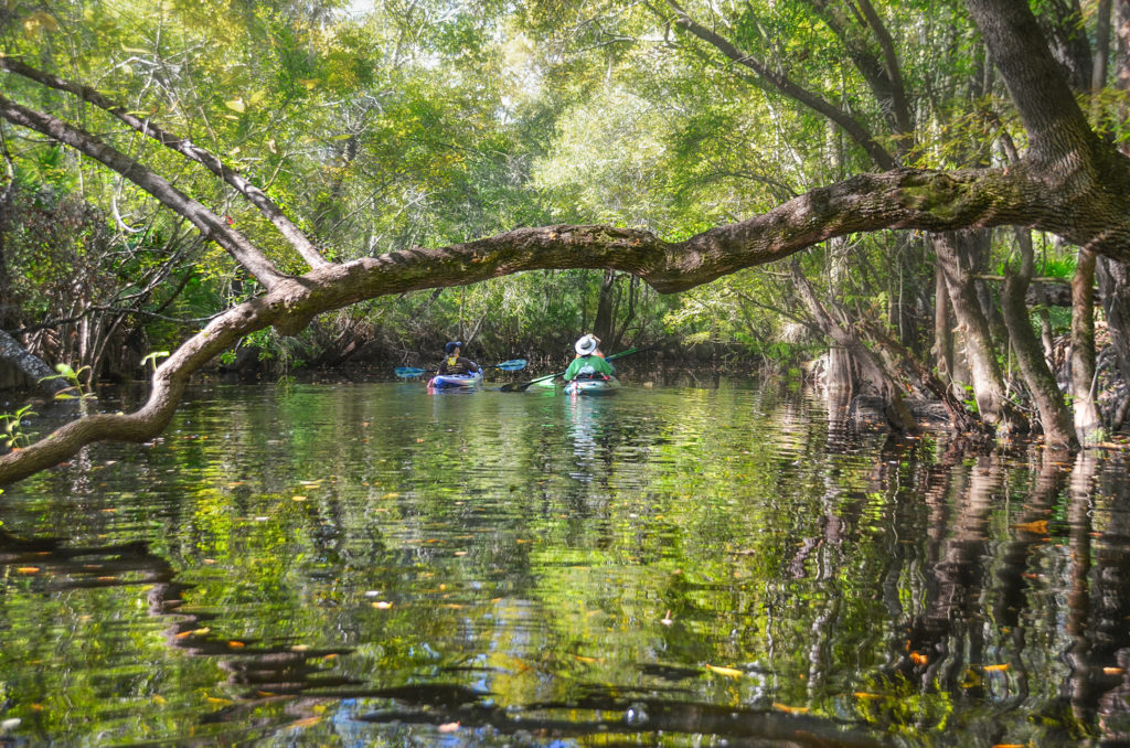 Paddling Spanish Creek