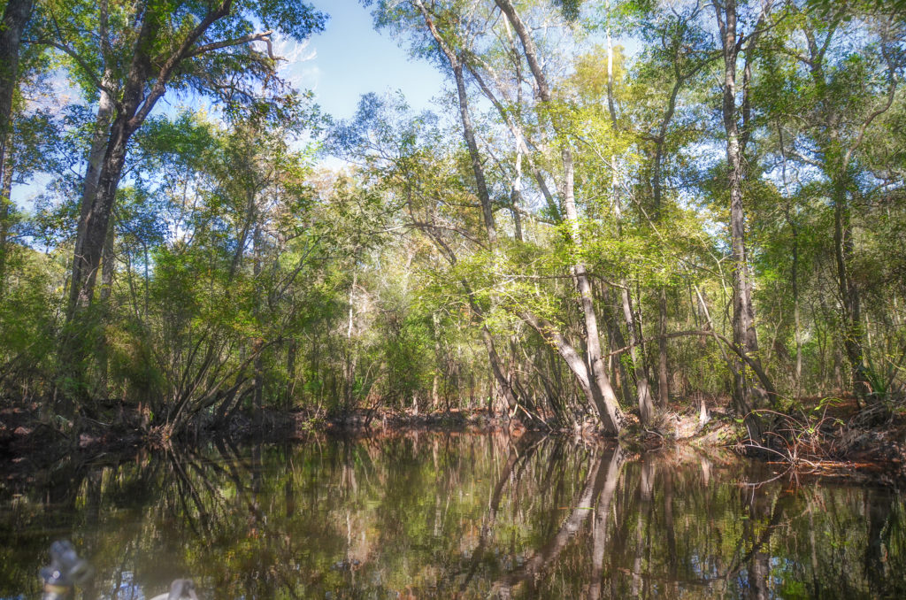 Spanish Creek - St Marys River