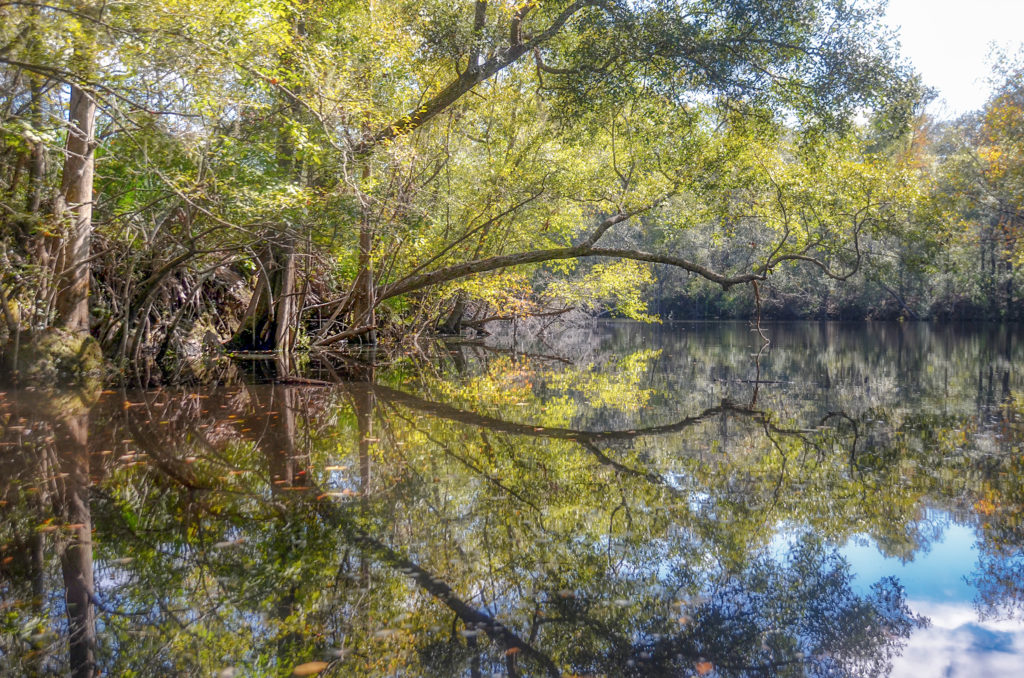 St Marys Reflection