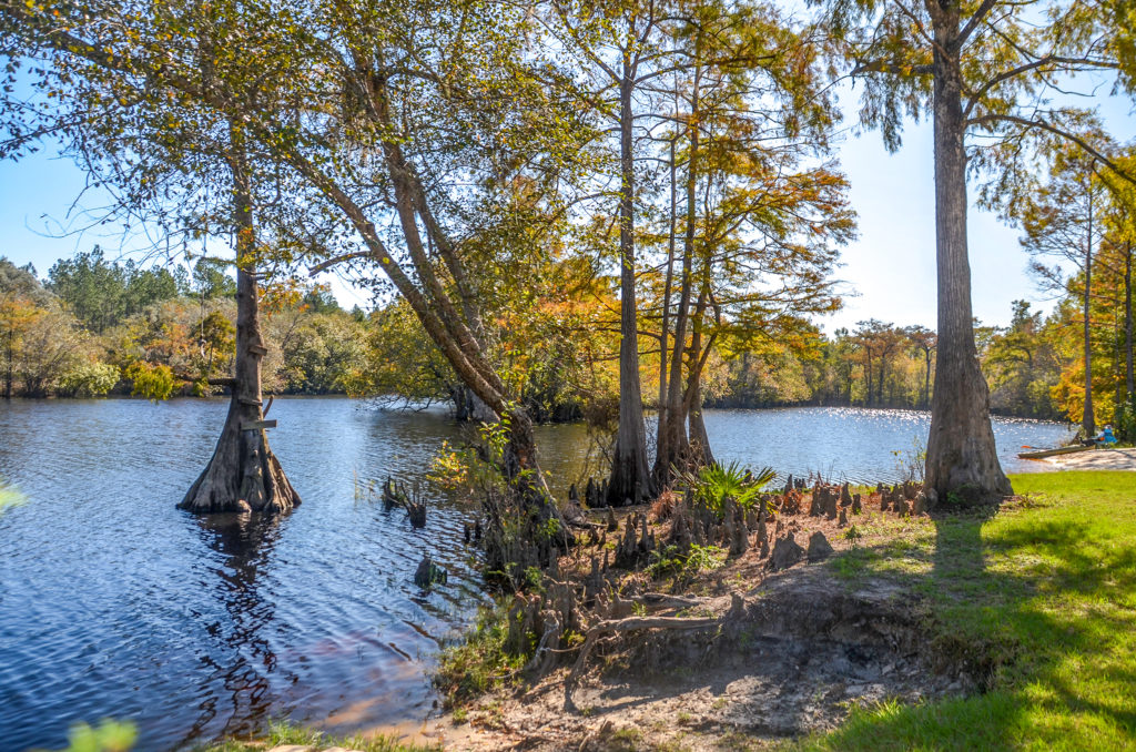 St Marys River at Trader Hill