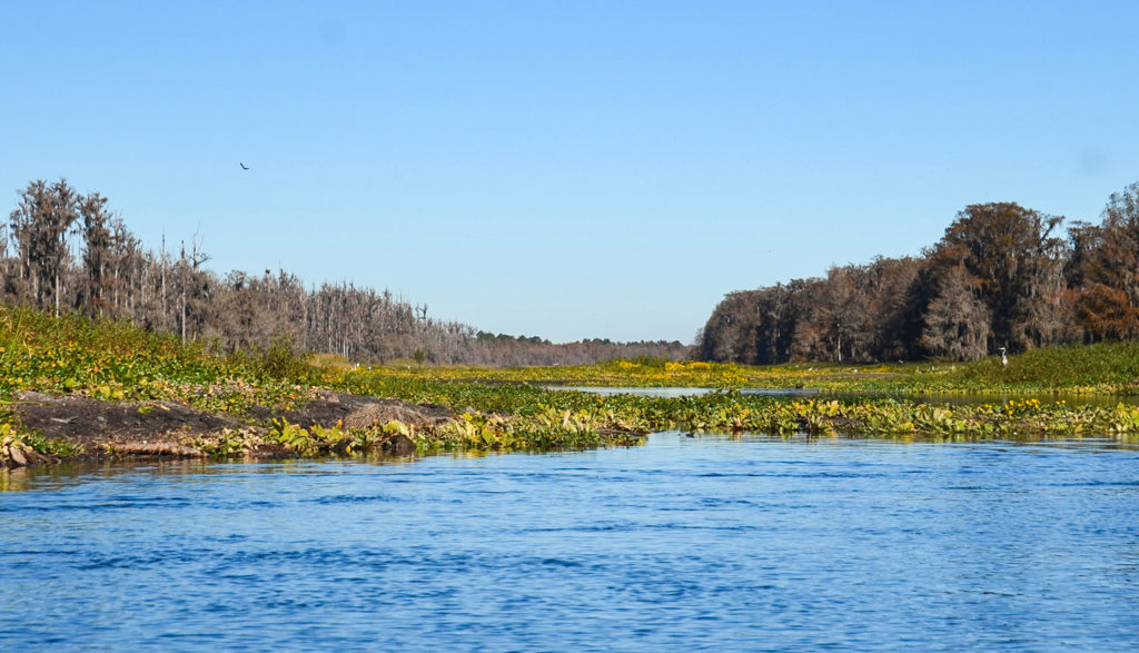 Airboat - Barge Lane During Drawdown